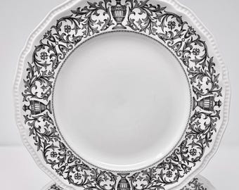 x 1 Juego de platos llanos Queen Anne Black KENSINGTON STAFFORDS Ironstone EFGH