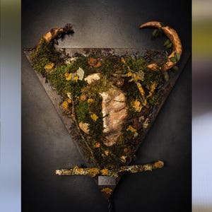 Può includere: Un'originale decorazione da parete con una scultura di volto ornata di muschio, piccoli fiori gialli e verde, incorniciata in un triangolo. La scultura presenta elementi curvi a forma di corno. Lo sfondo è scuro.