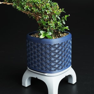 May include: A bonsai tree in a navy blue pot with a geometric pattern, set on a white stand. The bonsai has green leaves and a curved trunk. The pot is approximately 6 inches in diameter.