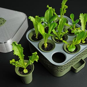 Pode incluir: Um plantador hidropônico verde e cinza com várias pequenas plantas de alface. O plantador tem um design geométrico e inclui uma tampa e vasos individuais para as plantas. As plantas são de uma cor verde vibrante.