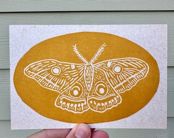 Oval Frame Moth Linocut Print