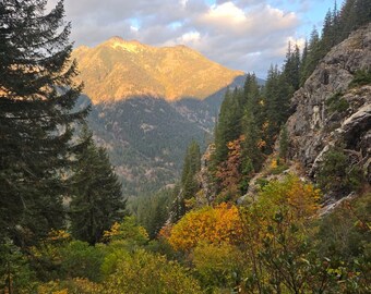 Zestaw wydruków fotografii górskiego krajobrazu | Sztuka ścienna Forest Valley