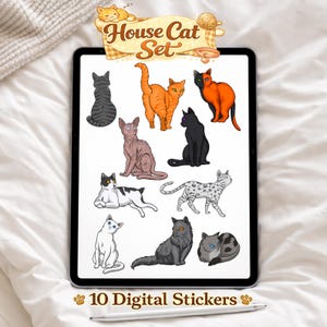 Cat Digital Sticker Set | Planner, GoodNotes, Procreate (PNG-paket