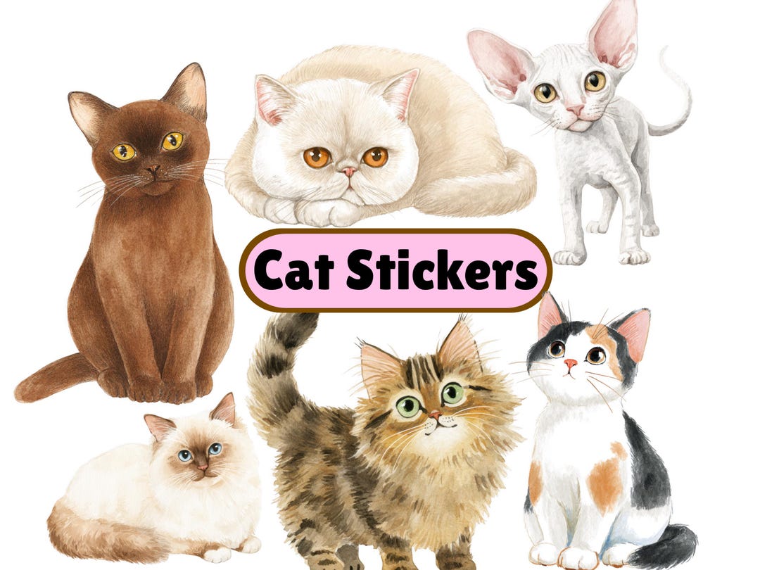 Cat Stickers, Realistic Cat Clipart, Watercolor Cats, 50 PNG for Cat ...