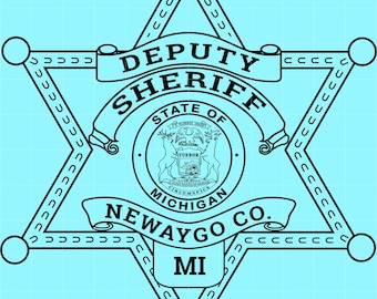 May include: A black and white Deputy Sheriff badge from Newaygo County, Michigan, with the text "Deputy Sheriff", "State of Michigan", "Newaygo Co.", and "MI". The badge is a six-pointed star shape with a light blue background.