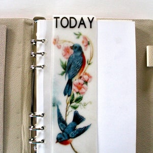 Planner Bookmark, Planner Page Marker, Journal Bookmark, Transparent Vellum, Blue Birds