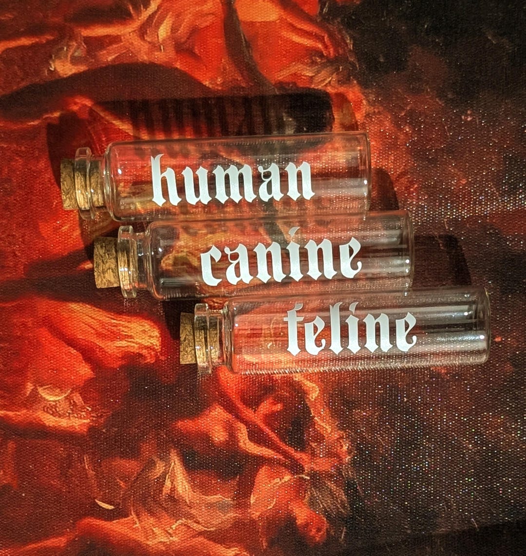 Teeth In Jar Teeth Jar - Gothic, Oddities & Taxidermy Jars, Altar - Etsy
