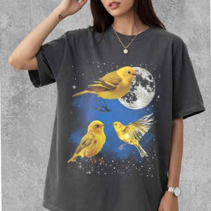 May include: Dark grey t-shirt with a celestial design. It features three yellow birds, a full moon, and stars. The birds are set against a blue and starry backdrop. The shirt has short sleeves and a relaxed fit.