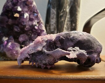 crystallized skull etsy