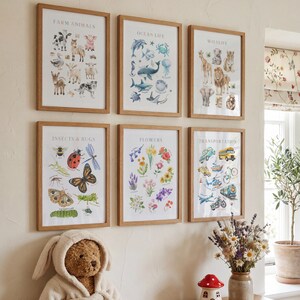 May include: Six framed educational posters with wooden frames are displayed on a wall. The posters feature illustrations of farm animals, ocean life, wildlife, insects and bugs, flowers, and transportation. The posters are in a child's room.