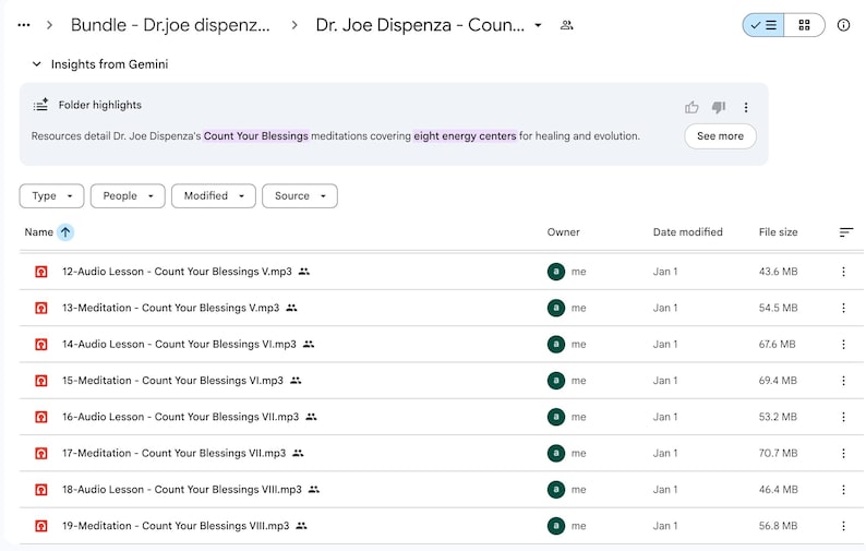 May include: A digital document titled "Bundle - Dr. Joe Dispenza - Count..." displays a list of audio lessons and meditations. The files are named "Count Your Blessings" and include versions V through VIII. The file sizes range from 43.6 MB to 70.7 MB.