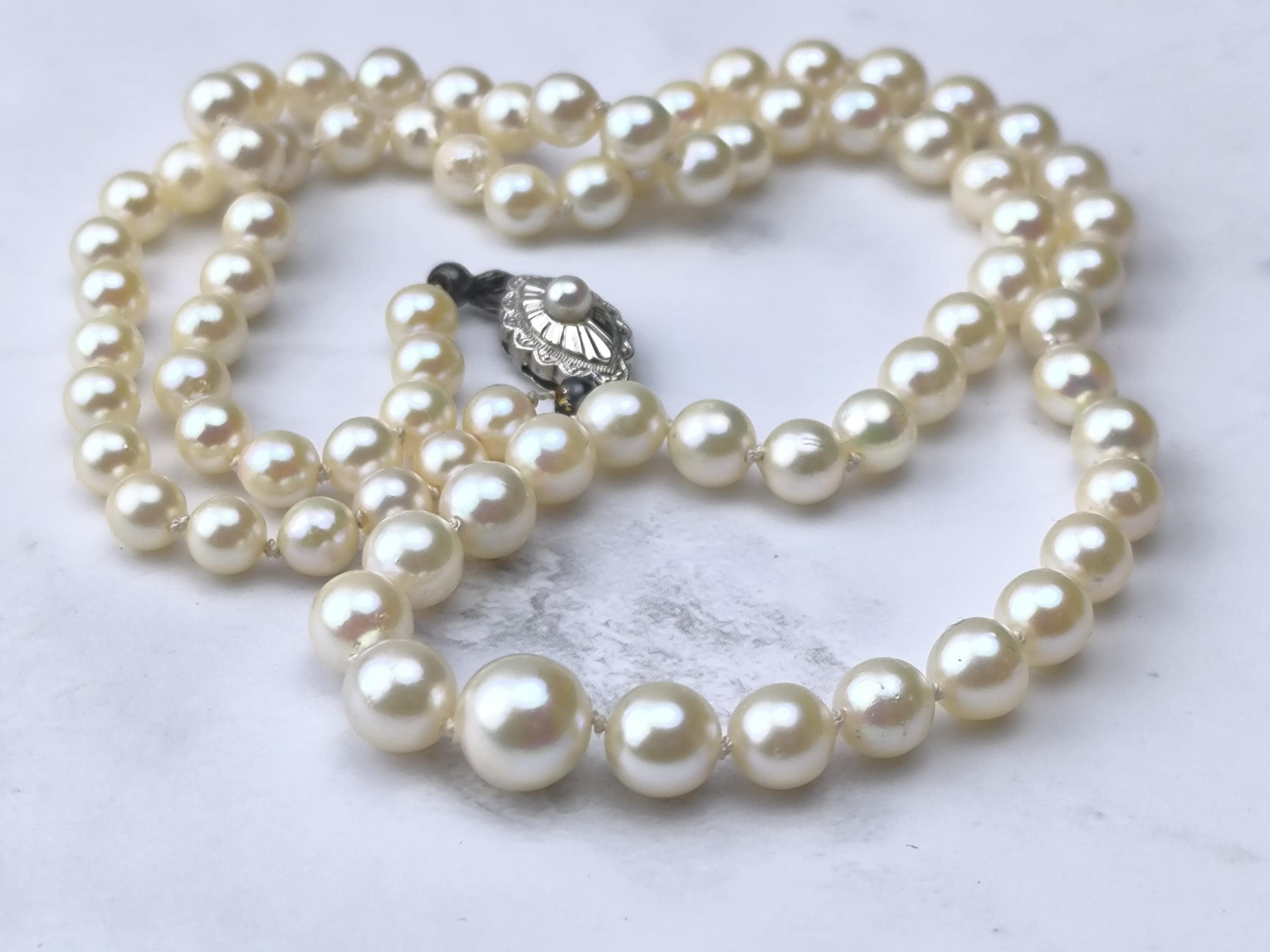 Vintage Mikimoto Pearl Necklaces - Etsy