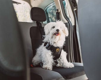 Ausgezeichnet mit dem Celebrity Pets Award: Hochwertiges, ergonomisches Design für Haustiere – Komfort und Verkehrssicherheit