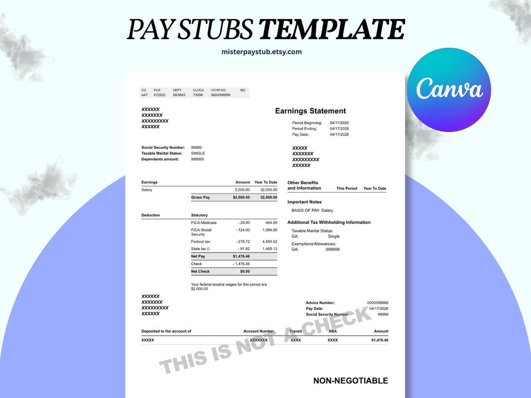 Professional Pay Stub Example Professional Pay Stub Template | Editable Payroll Salary Slip ...