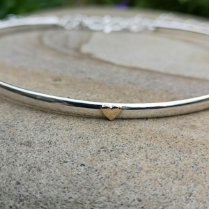 Op de afbeelding: Een zilverkleurige armband met een kleine gouden hartbedel. De armband is glad en glanzend, met de hartbedel in het midden aan de voorkant. De achtergrond is een vage natuurlijke omgeving.