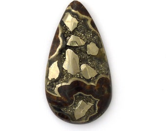 Natural Ammonite Fossil Pyrite Designer Cabochon Gemstone Free Shipping 30.4x56.8x8.5 mm