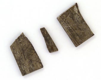 Gibeon Meteorite Slices Free Shipping Free Returns