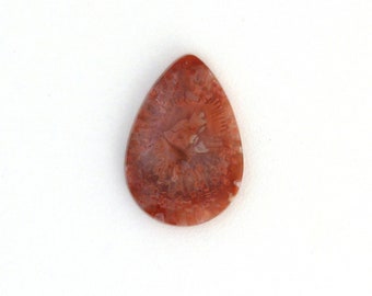 Red Horn Coral Cabochon Gemstone 17.8x25.8x4.7 mm Free Shipping Free Returns