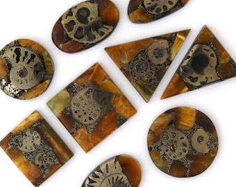 Ammonite Mosiac Cabochon Gemstones Free Shipping Free Returns