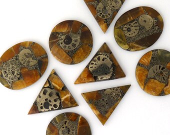 Ammonite Mosaic Cabochon: Natural Gemstone