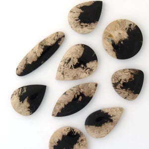 Agatized Palm Root Cabochon: Fossilized Gemstone from Indonesia