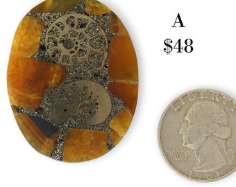 Ammonite Mosaic Cabochon: Natural Gemstone