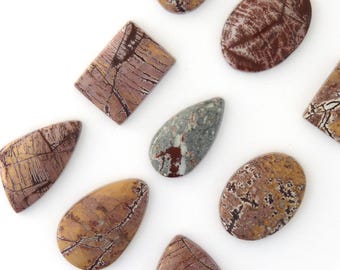 Sonoran Dendritic Designer Cabochon Gemstones Free Shipping Free Returns
