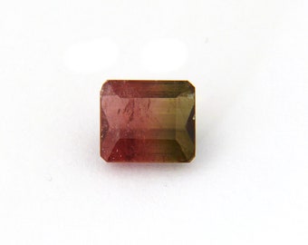 Red Green Watermelon Tourmaline Faceted Gemstone Free Shipping Free Returns 9.8x11.1x6.1 mm