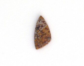 Sonoran Dendritic Designer Cabochon 10.9x22.1x3.2 mm Free Shipping Free Returns