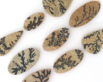 Dendritic Fossil Cabochon Gemstones Free Shipping Free Returns