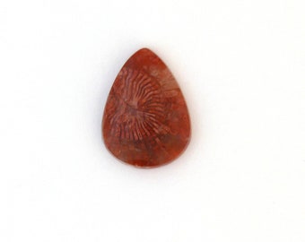 Red Horn Coral Cabochon Gemstone 17.0x22.6x4.8 mm Free Shipping Free Returns