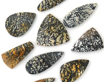 Agatized Palm Root Cabochon: Fossilized Gemstone from Indonesia