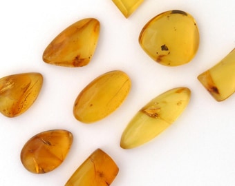 Amber Designer Cabochon Gemstones Free Shipping Free Returns