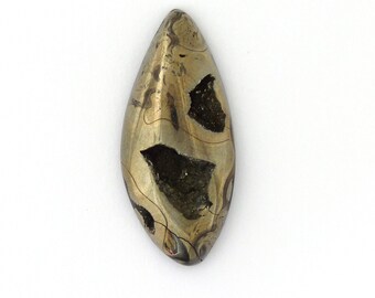 Natural Ammonite Fossil Pyrite Designer Cabochon Gemstone Free Shipping 20.1x45.7x8.1 mm