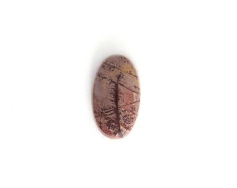 Sonoran Dendritic Designer Cabochon 10.7x18.3x4.9 mm Free Shipping Free Returns