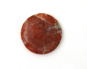 Red Horn Coral Cabochon Gemstone 26.4x4.3 mm Free Shipping Free Returns