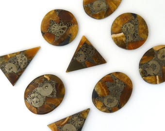Gemstone Fossils