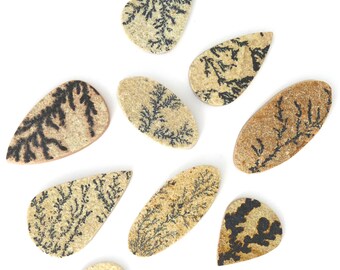 Dendritic Fossil Cabochon Gemstones Free Shipping Free Returns