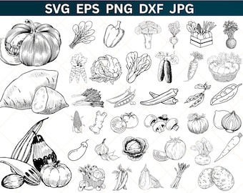 Vegetable SVG Bundle,Instant Digital Download, PNG, SVG Cut Files