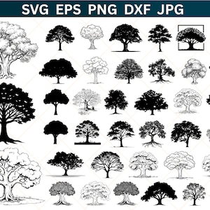 May include: A collection of tree illustrations in various styles, including detailed line art and solid black silhouettes. The image features a variety of tree types, with the text "SVG EPS PNG DXF JPG" at the top.