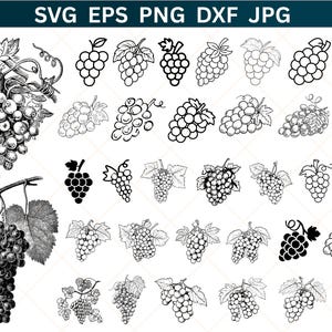 May include: A collection of black and white grape illustrations in various styles. The image includes detailed drawings and simplified outlines of grape bunches, leaves, and vines. The top of the image has the text "SVG EPS PNG DXF JPG".