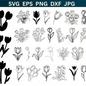 May include: A collection of tulip illustrations in various styles, including solid black silhouettes and detailed line drawings. The image includes the text "SVG EPS PNG DXF JPG" at the top, indicating file formats.
