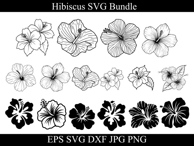 Hibiscus Flowers Svg Bundle, Png, Tropical Floral Clipart, Hawaiian ...