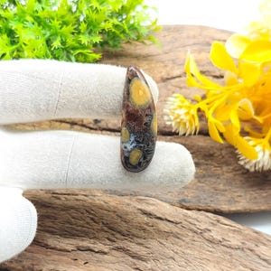 Può includere: Una gemma lucida a forma di goccia con motivi marroni, gialli e blu. La pietra è tenuta su uno sfondo bianco, mostrando le sue uniche variazioni di colore e trame. La gemma è lunga circa 5 cm.