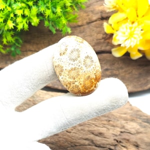 Puede incluir: Una piedra pulida de forma ovalada con un patrón detallado de pequeñas formas circulares en tonos marrones y beige. La piedra está sujeta por una mano enguantada, con un fondo de madera y follaje verde y amarillo.