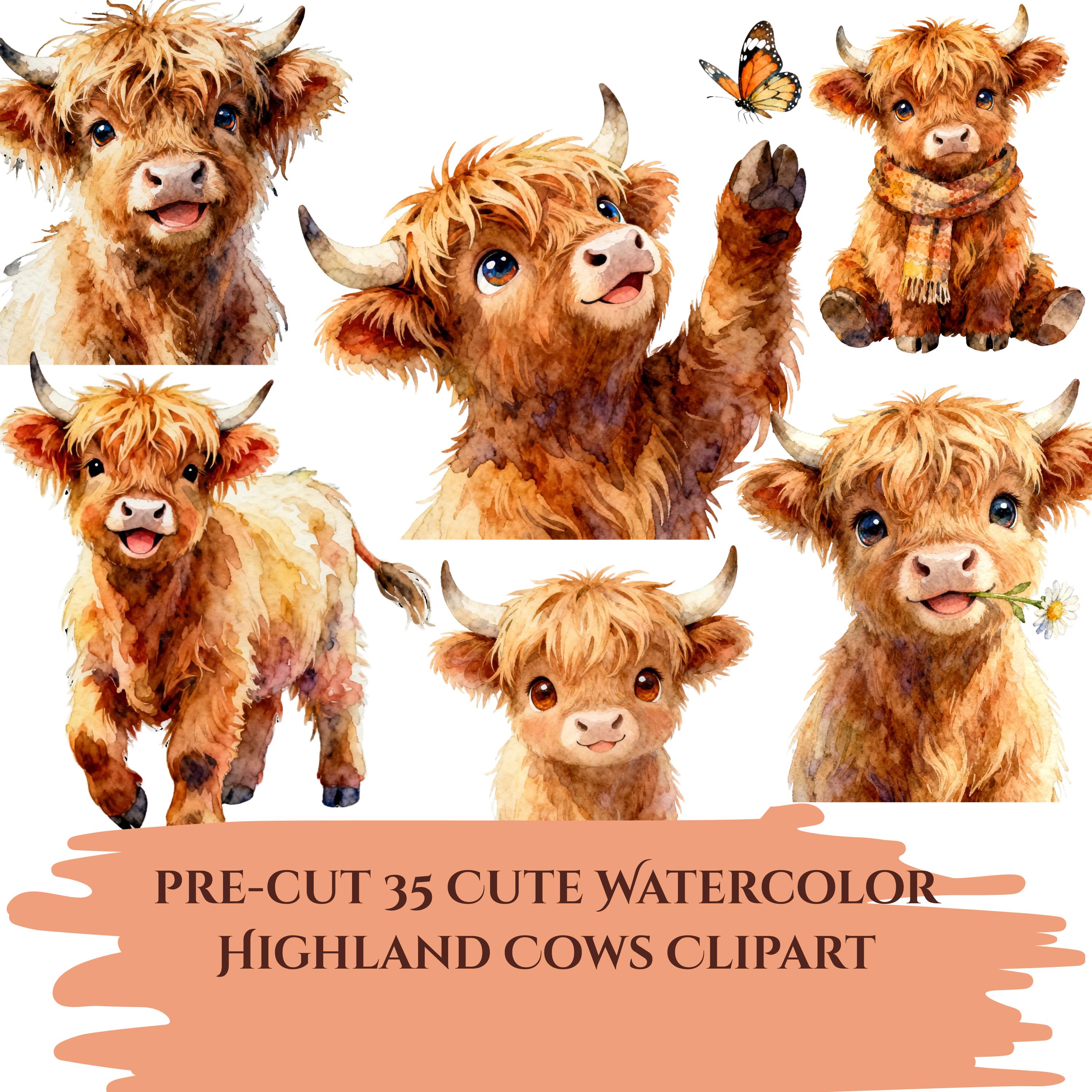 Highland Cow Clipart Bundle PNG, Watercolor Baby Cow Clipart, Farm ...