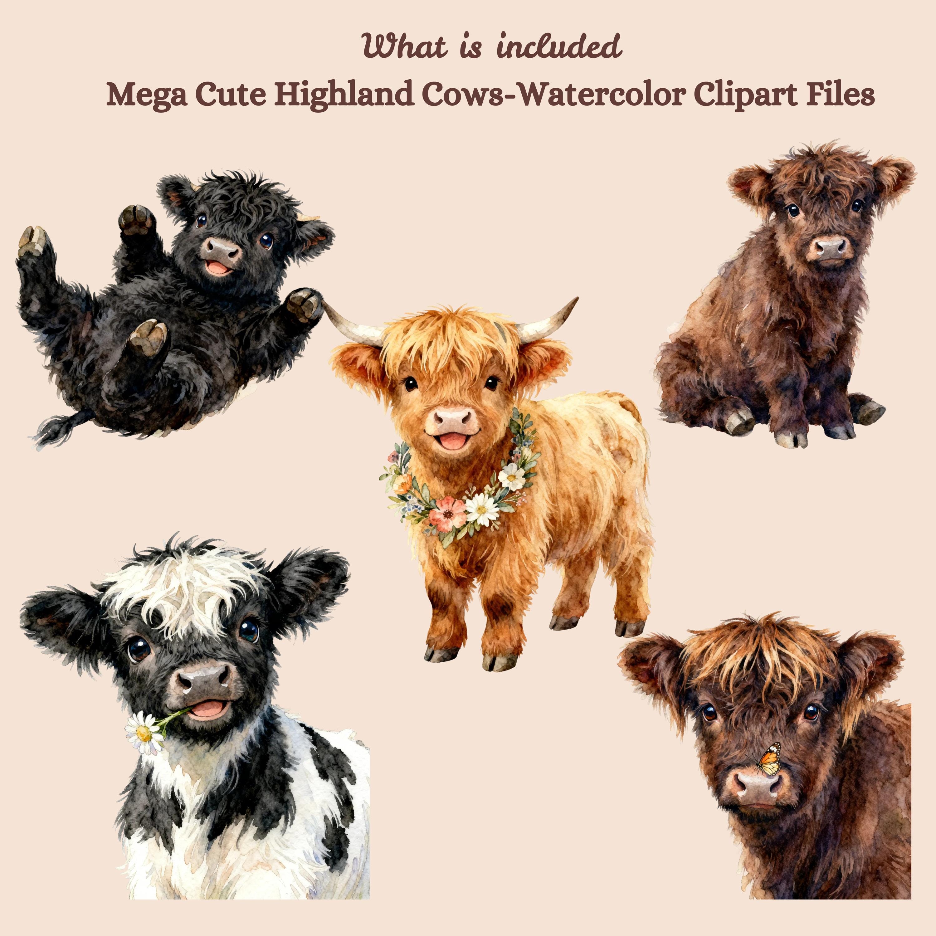 Highland Cow Clipart Bundle PNG, Watercolor Baby Cow Clipart, Farm ...