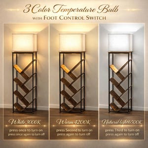 Pode incluir: Uma lumin&aacute;ria de ch&atilde;o com uma tela retangular e uma estrutura de metal escuro. A estrutura incorpora um design de estante com prateleiras de madeira. A l&acirc;mpada oferece tr&ecirc;s temperaturas de cor: Branco 3000K, Quente 4200K e Luz natural 6500K, controladas por um interruptor de p&eacute;.