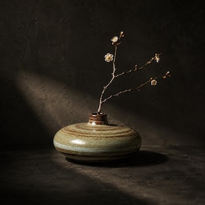 May include: A ceramic vase with a wide, rounded body and a narrow neck. The vase is a muted green with brown horizontal stripes. A delicate branch with small white flowers and buds extends from the vase, set against a dark background.