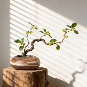 Personlig graverad Wabi Sabi keramisk vas med nålgroda, låg sten Ikebana-blomhållare, minimalistiskt zenhem, rustik hylla och borddekor bild 3